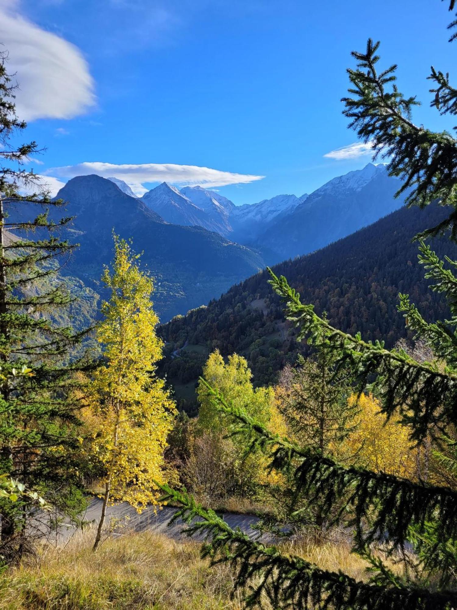 Auris Les Gentianes Station Alpe Huez Apartman Kültér fotó